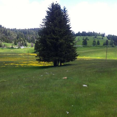 Hotel Coop Rozhen Pamporovo Luaran gambar