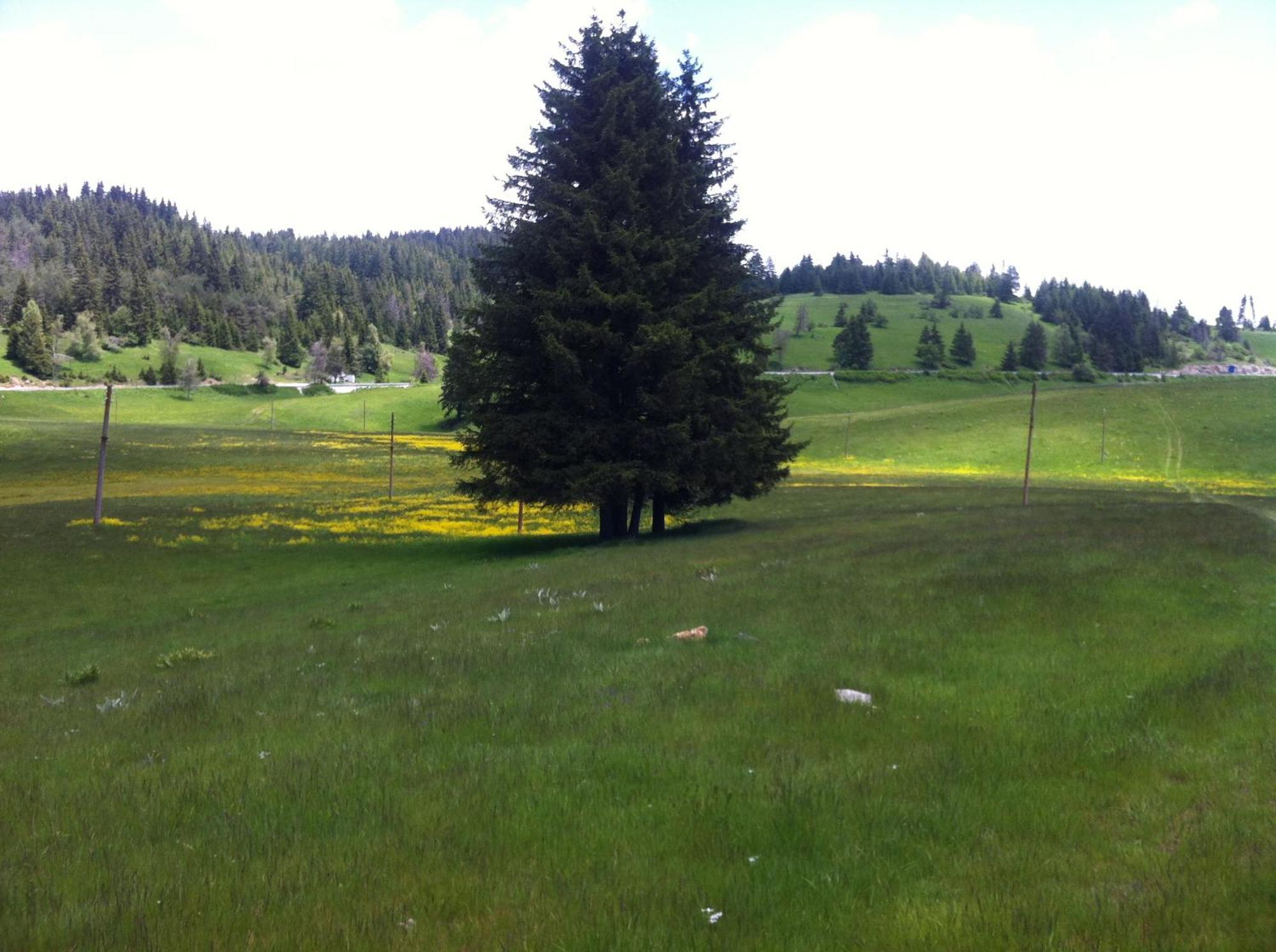 Hotel Coop Rozhen Pamporovo Luaran gambar